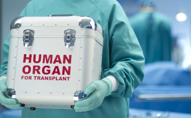 Пересадка органов в Германии
