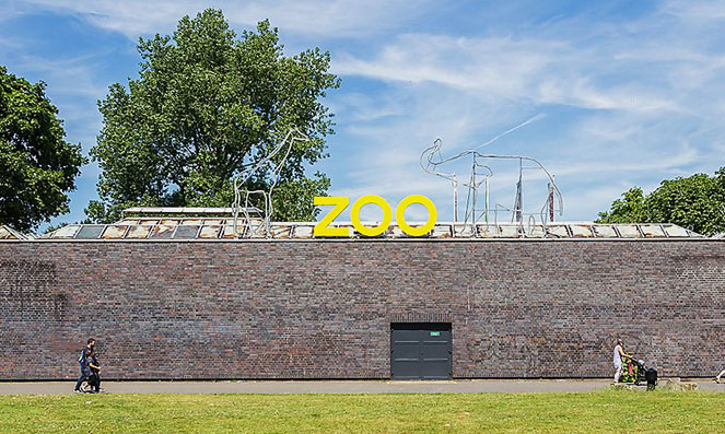Кёльнский зоопарк: животные рядом с людьми