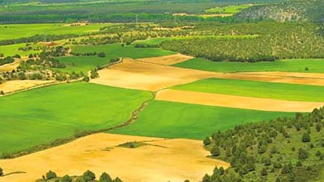 Покупка земли в Испании: особенности, цены, оформление