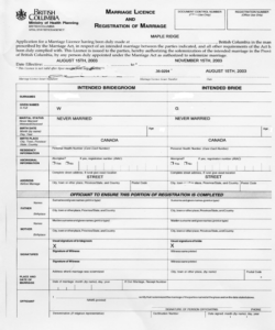 Marriage License Application Form 2